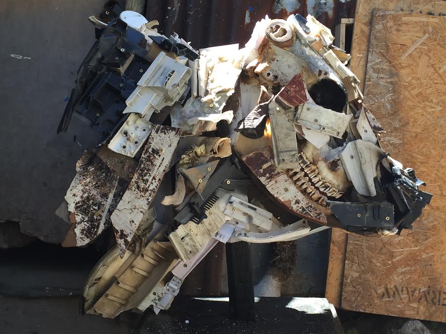 Nguni Cattle, Ndabuko Ntuli